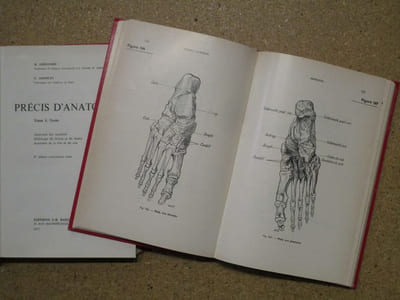 Précis d'anatomie : texte et atlas (4 volumes)