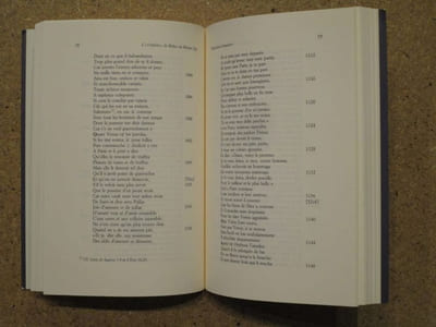 L'"Orphée" de Boèce au Moyen Âge : traductions françaises et commentaires latins (XIIe-XVe sicèles).