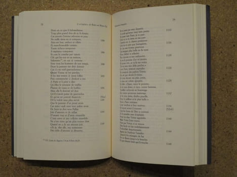 L'"Orphée" de Boèce au Moyen Âge : traductions françaises et commentaires latins (XIIe-XVe sicèles).. ATKINSON Keith J. / BABBI Anna Maria