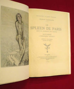 Le spleen de Paris, petits poèmes en prose.