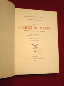Le spleen de Paris, petits poèmes en prose.