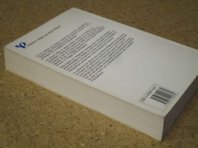 Investigations sur Wittgenstein.