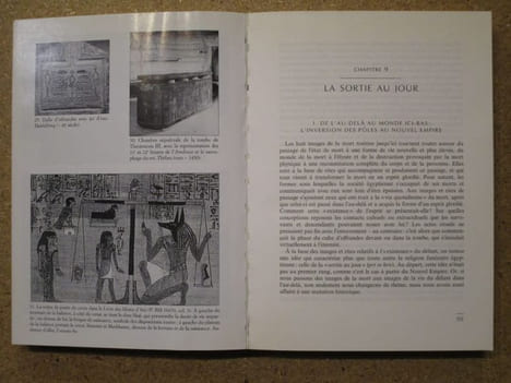 Mort et au-delà dans l'Egypte ancienne.. ASSMANN Jan