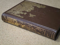 Les contes de Hans Christian Andersen.