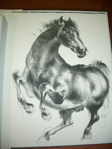 Histoires Naturelles. Textes choisis. Illustrés de lithographies originales par Hans Erni.