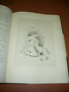 Les Métamorphoses d'Ovide, choisies, adaptées et illustrées de vingt-quatre eaux-fortes par Marianne Clouzot.