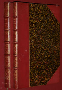 Recueil de Mémoires et Documents sur le Forez publiés par la Société de la Diana (2 volumes).
