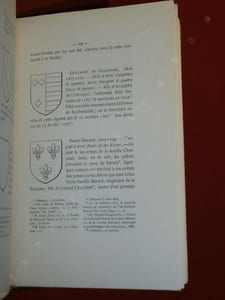 Rochetaillée en Franc-lyonnais.