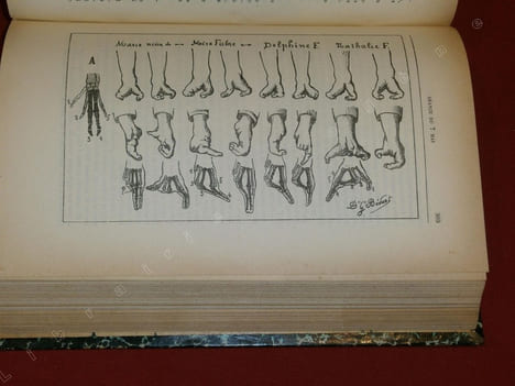 Mélanges Tératologiques.LESBRE - RABAUD.. LESBRE - RABAUD.