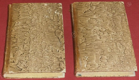 Voyage à l'Île de Ceylan, fait dans les années 1797 à 1800 ; Contenant l'Histoire, la Géographie et la Description des moeurs des habitans, ainsi que ...