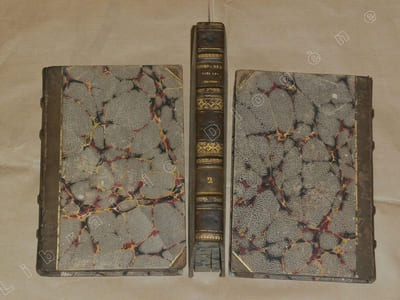 Des compensations dans les destinées humaines, augmentée du Précis de l'explication universelle (trois volumes).