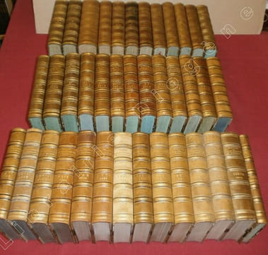 L'Année Scientifique et Industrielle ou Exposé Annuel des Travaux Scientifiques, des Inventions et des Principales Applications de la Science à ...