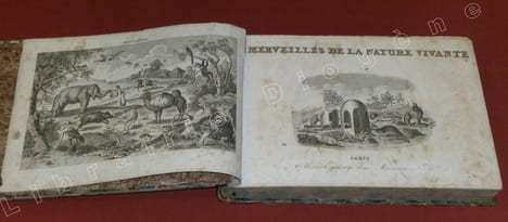Merveilles de la Nature vivante, ou Galerie des animaux curieux, industrieux et domestiques de tous les pays avec une description de leurs moeurs et ...
