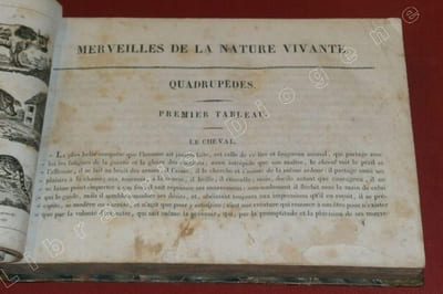 Merveilles de la Nature vivante, ou Galerie des animaux curieux, industrieux et domestiques de tous les pays avec une description de leurs moeurs et habitudes, et 32 planches gravées contenant plus de 800 animaux de tous genres, exécutés avec le plus grand soin par les plus habiles Artistes de Paris.