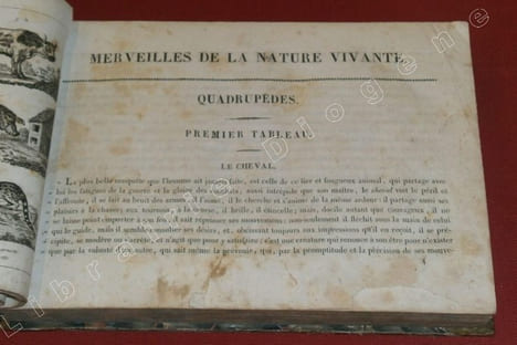 Merveilles de la Nature vivante, ou Galerie des animaux curieux, industrieux et domestiques de tous les pays avec une description de leurs moeurs et ...