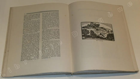 Les Châteaux Historiques (Manoirs, Maisons fortes, Gentilhommières, anciens Fiefs) du Lyonnais et du Beaujolais (Département du Rhône) (3 volumes).. ...