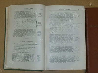 Flore des champignons supérieurs de France / Complément de la flore des champignons supérieurs de France (2 volumes).