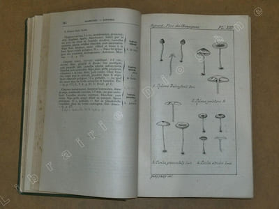 Flore des champignons supérieurs de France / Complément de la flore des champignons supérieurs de France (2 volumes).