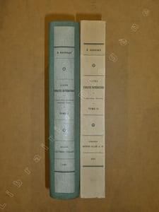 Cours d'analyse mathématique (2 volumes).