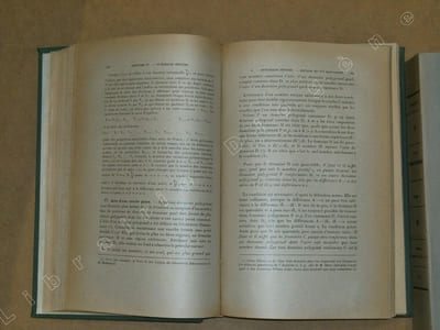 Cours d'analyse mathématique (2 volumes).