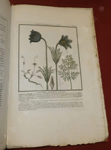 Herbier de la France, première division : Plantes vénéneuses du Royaume - Histoire des Plantes Médicinales - Herbier de la France, seconde division : Histoire des Champignons de la France, ou Traité élémentaire, renfermant dans un ordre méthodique les Descriptions et les Figures des Champignons qui croissent naturellement en France (6 volumes).