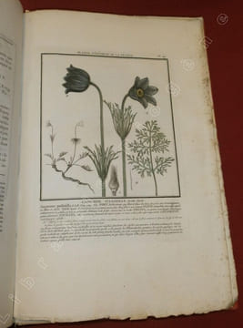 Herbier de la France, première division : Plantes vénéneuses du Royaume - Histoire des Plantes Médicinales - Herbier de la France, seconde division : ...