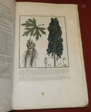 Herbier de la France, première division : Plantes vénéneuses du Royaume - Histoire des Plantes Médicinales - Herbier de la France, seconde division : ...