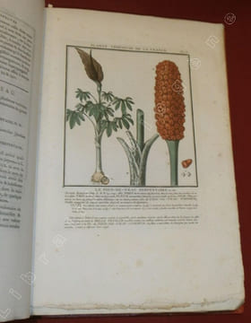 Herbier de la France, première division : Plantes vénéneuses du Royaume - Histoire des Plantes Médicinales - Herbier de la France, seconde division : ...
