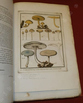 Herbier de la France, première division : Plantes vénéneuses du Royaume - Histoire des Plantes Médicinales - Herbier de la France, seconde division : ...