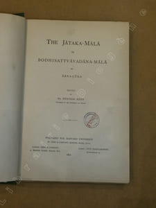 The Jataka-Mala or bodhisattvavadana-mala by Arya-çura.