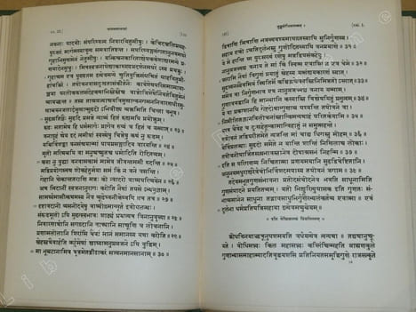 The Jataka-Mala or bodhisattvavadana-mala by Arya-çura.. ARYA-CURA
