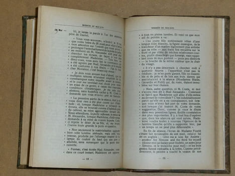 L'ami disparu ou les renaissances éphémères de Mantes sur Seine, La malaperinta amiko au la nedauraj reenkorpigoj en Mantes sur Seine / L'ami disparu ...