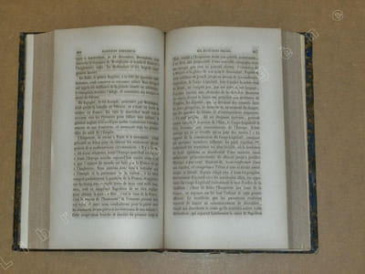 Histoire et généalogie des quatre branches de la famille Bonaparte depuis 1183 jusqu'en 1855.