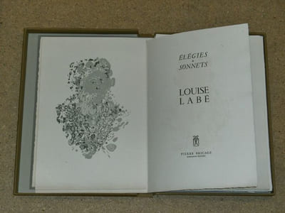 Elégies & sonnets.