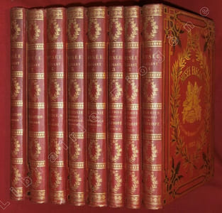 Le Musée Elégant, Collection historique et artistique par nos plus célèbres écrivains : Jules Janin, Jules Simon, Paul Mantz, De Lescure, De la Fizelière, A. Pichot, Poujoulat, C. Caraguel, Ed. Texier, Victoru Chaynel, et nos principaux artistes : Catenacci, Allongé, Daubigny, Flameng, Rousseau, Freemen, De Bar, Foulquier, Rambert, Fellmann, Lienard, Riou et autres (8 volumes).