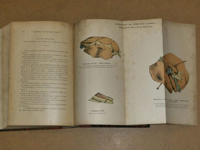 Archives de l'anthropologie criminelle, de criminologie et de psychologie normale et pathologique, neuvième année. 1894