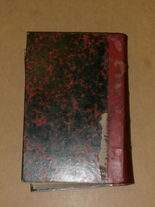 Archives de l'anthropologie criminelle, de criminologie et de psychologie normale et pathologique, neuvième année. 1894