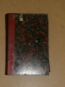 Archives de l'anthropologie criminelle, de criminologie et de psychologie normale et pathologique, neuvième année. 1894