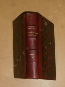 Archives de l'anthropologie criminelle, de criminologie et de psychologie normale et pathologique, tome dixième, année 1895.