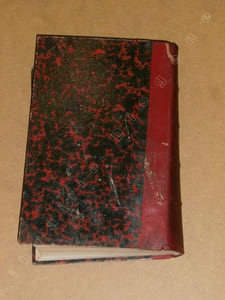 Archives de l'anthropologie criminelle, de criminologie et de psychologie normale et pathologique, tome dixième, année 1895.