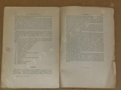 Etudes d'ethnographie algérienne : les soufflets algériens, les poteries kabyles, le tissage aux cartons, l'art décoratif.