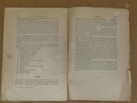 Etudes d'ethnographie algérienne : les soufflets algériens, les poteries kabyles, le tissage aux cartons, l'art décoratif.. VAN GENNEP Arnold