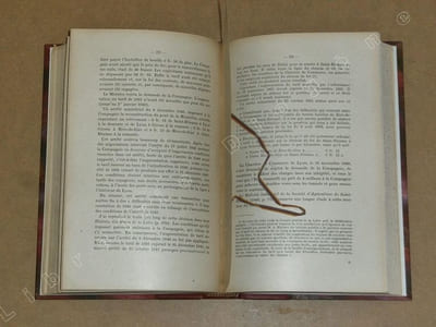 Histoire des premiers chemins de fer français (Saint-Etienne à Andrézieux, Saint-Etienne à Lyon, Andrézieux à Roanne). Et du premier tramway de France (Montbrison à Montrond).