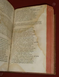 [Oeuvres] Papinii Surculi Statii Opera quae extant.Placidi Lactantii in Thebaida et Achilleida commentarius. Ex Bibliotheca Fr. Pithoei. I. C. Collatis MSS, veteribusque exemplaribus, recensuit, partim nunc primum edidit, Fr. Lindenbruch.