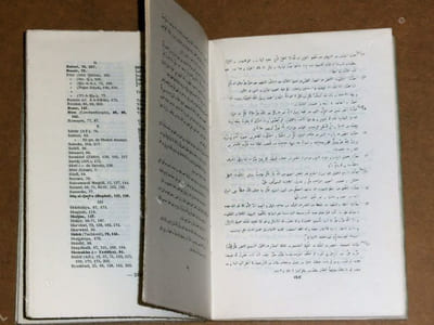 Akhbar al-Hallaj : recueil d'oraisons et d'exhortations du martyr mystique de l'Islam.
