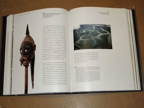 Ombres de Nouvelle-Guinée : arts de la grande île d'Océanie dans les collections Barbier-Mueller.. PELTIER Philippe / MORIN Floriane / BELL Joshua A. ...