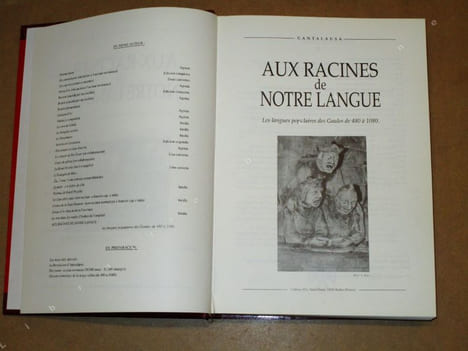 Aux racines de notre langue : les langues populaires des Gaules de 480 à 1080.. CANTALAUSA