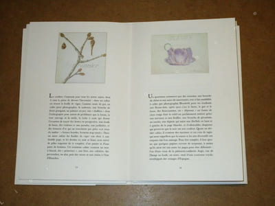 Leçons de choses.