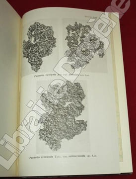 La Végétation lichénique du Massif Armoricain. Etude chronologique et écologique.. ABBAYES, Henry Nicollon Des.
