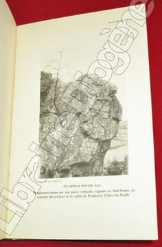 La Végétation lichénique du Massif Armoricain. Etude chronologique et écologique.. ABBAYES, Henry Nicollon Des.